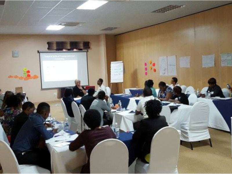 Trauma Training With Lamb International