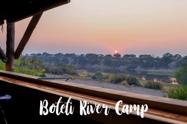 53204935 2363311823930357 1482485267330760704 n