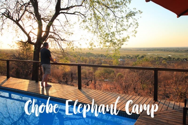 53621320 2363311913930348 7847752741328781312 n